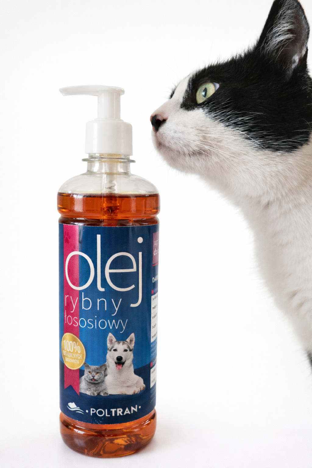 ChatGPT Image 28 gru 2025, 08_07_37